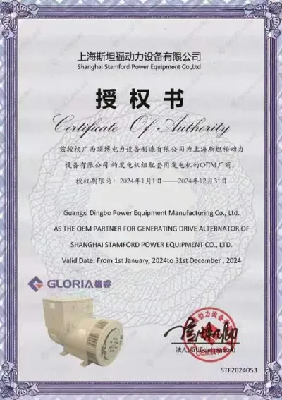 Certificado de autorización OEM del alternador STAMFORD de Shanghái