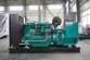 Grupo electrógeno diésel con motor Weichai, DB-320GF